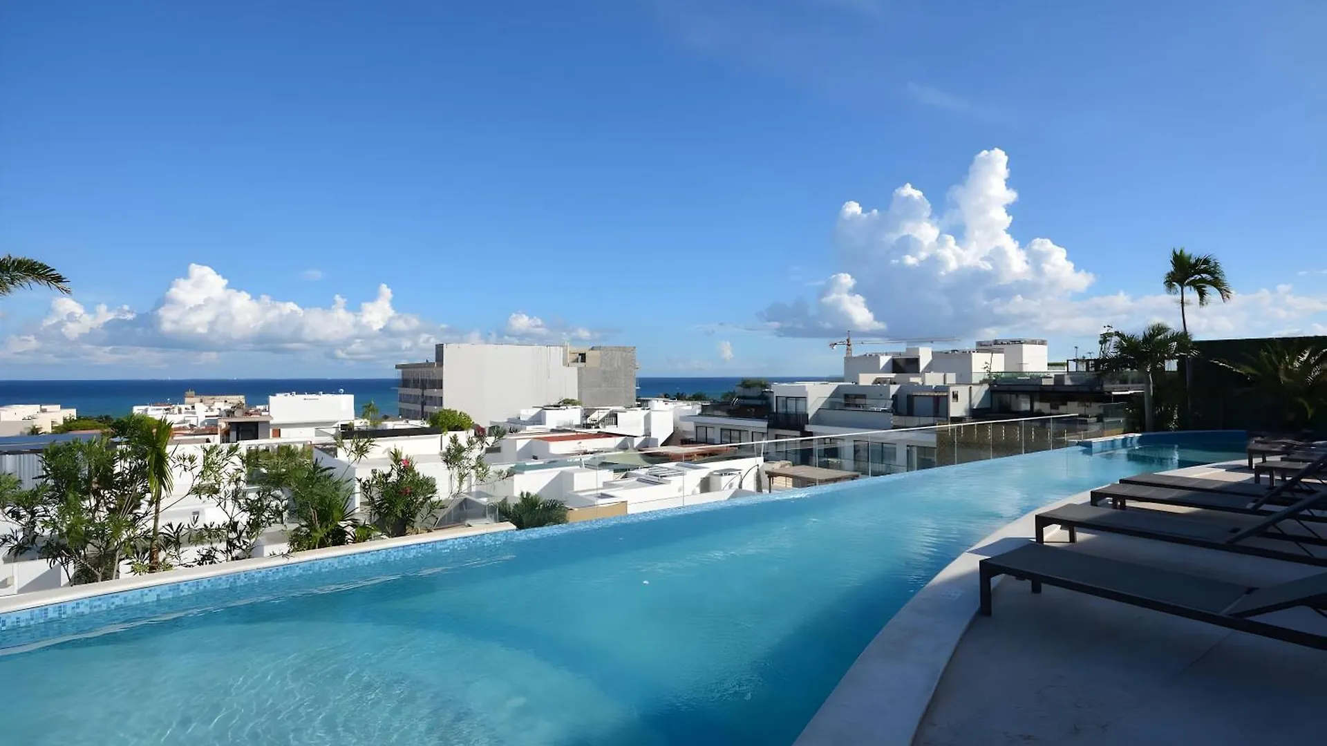 Lejlighed The Shore - Chic Getaway - Beach Steps Away Playa del Carmen