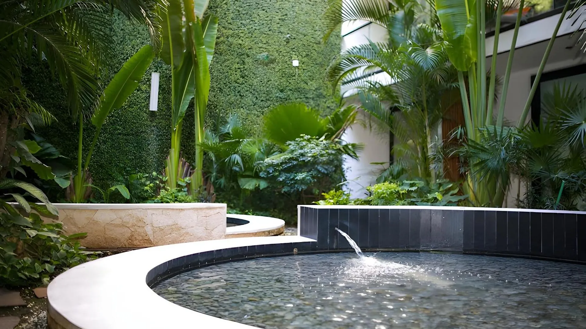 Lejlighed The Shore - Chic Getaway - Beach Steps Away Playa del Carmen